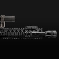 Cloud Defensive REIN weapon light kit